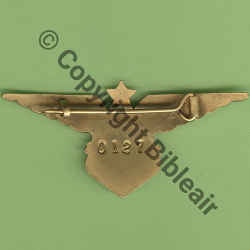 FAFL Grave FAFL.  Gd Modele 64x30mm SM Eping bascule plate simple ne deborde pas Dos lisse irreg No0127 Src.Y.GENTY 93Eur06.11 